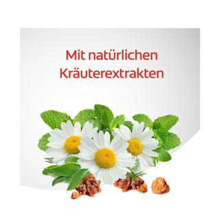 Colgate Dentagard Classic Dentagard Original Zahnpasta, Mit Naturkräuterextrakten 