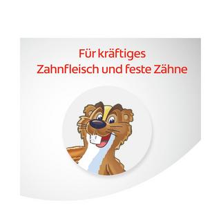 Colgate Dentagard Classic Dentagard Original Zahnpasta, Mit Naturkräuterextrakten 