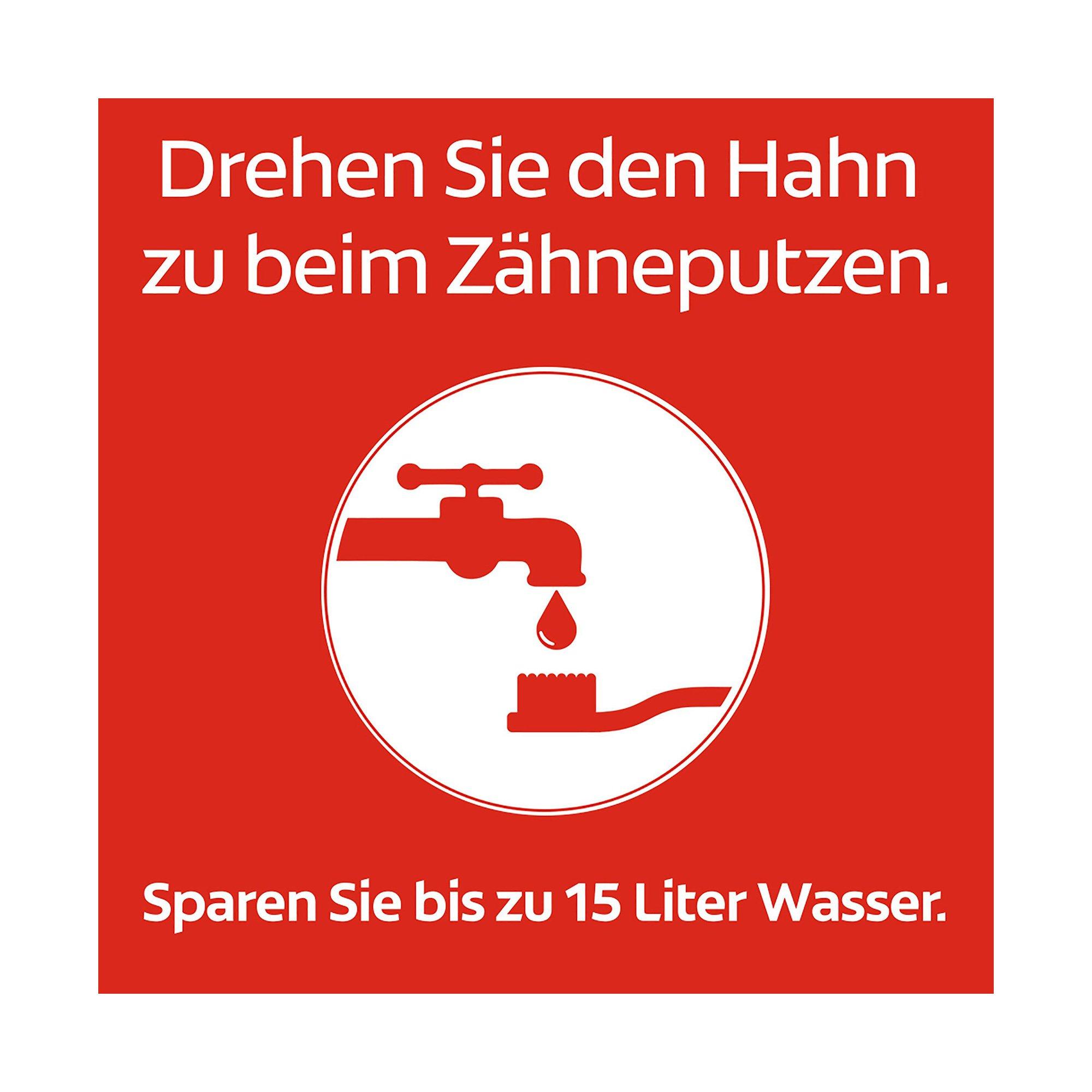 Colgate Dentagard Classic Dentagard Original Zahnpasta, Mit Naturkräuterextrakten 