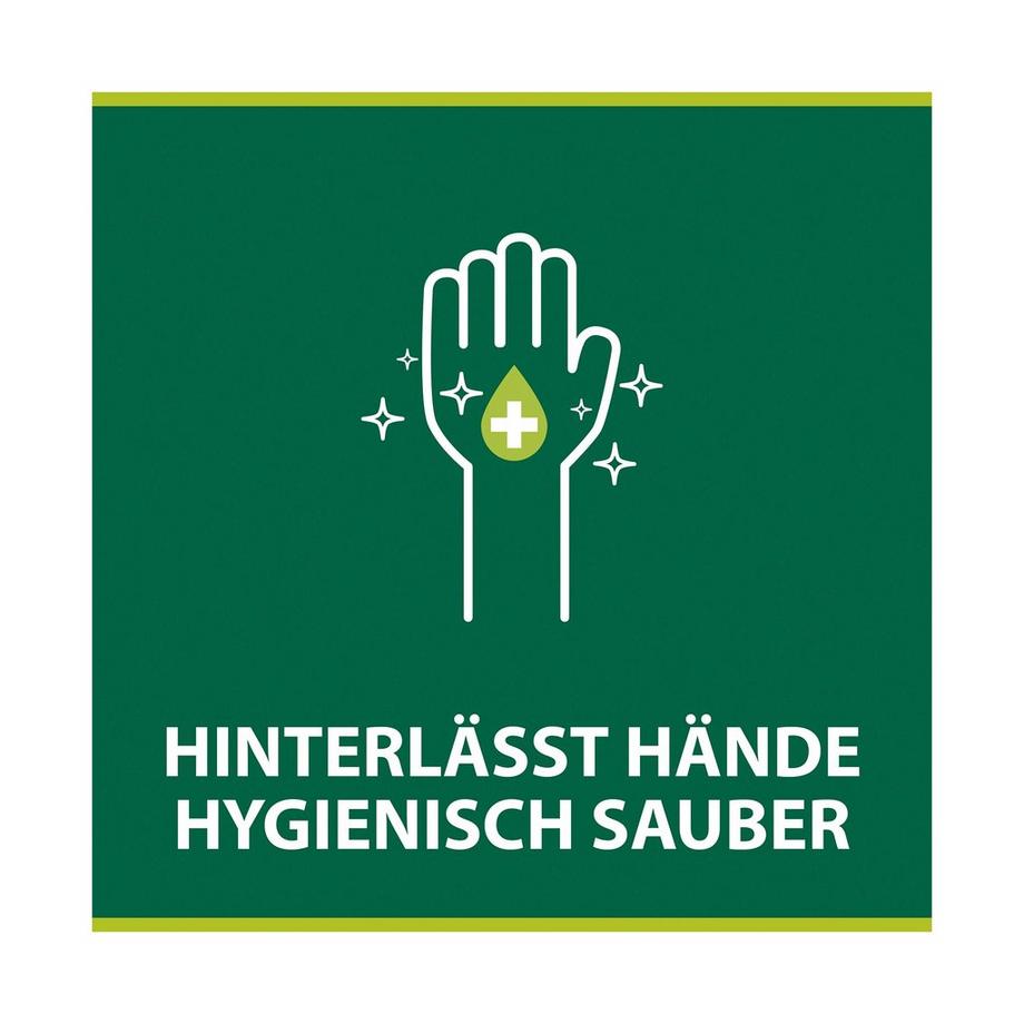 Palmolive Hygiene Plus Küche Antibakteriell Hygiene-Plus Kitchen Flüssigseife, Antibakteriell & Gegen Gerüche Seifenspender 