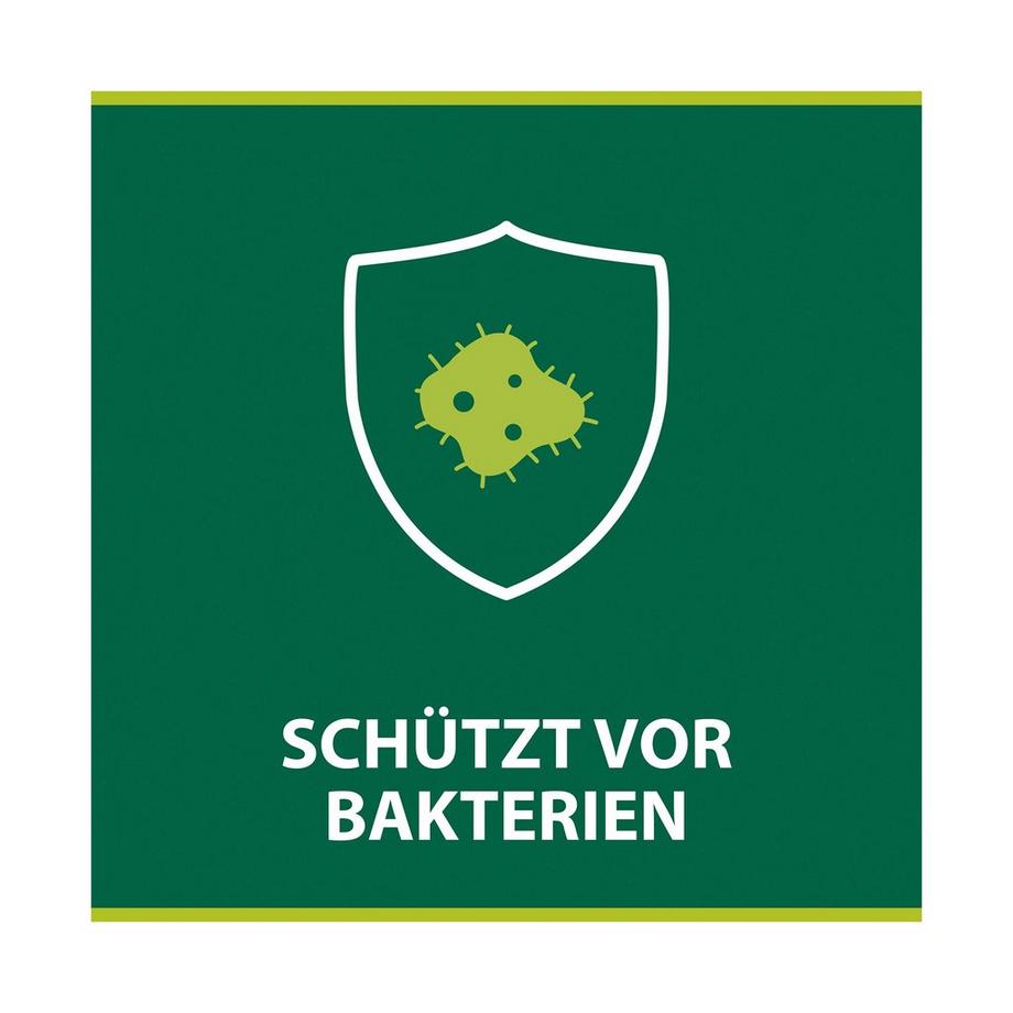 Palmolive Hygiene Plus Küche Antibakteriell Hygiene-Plus Kitchen Flüssigseife, Antibakteriell & Gegen Gerüche Seifenspender 