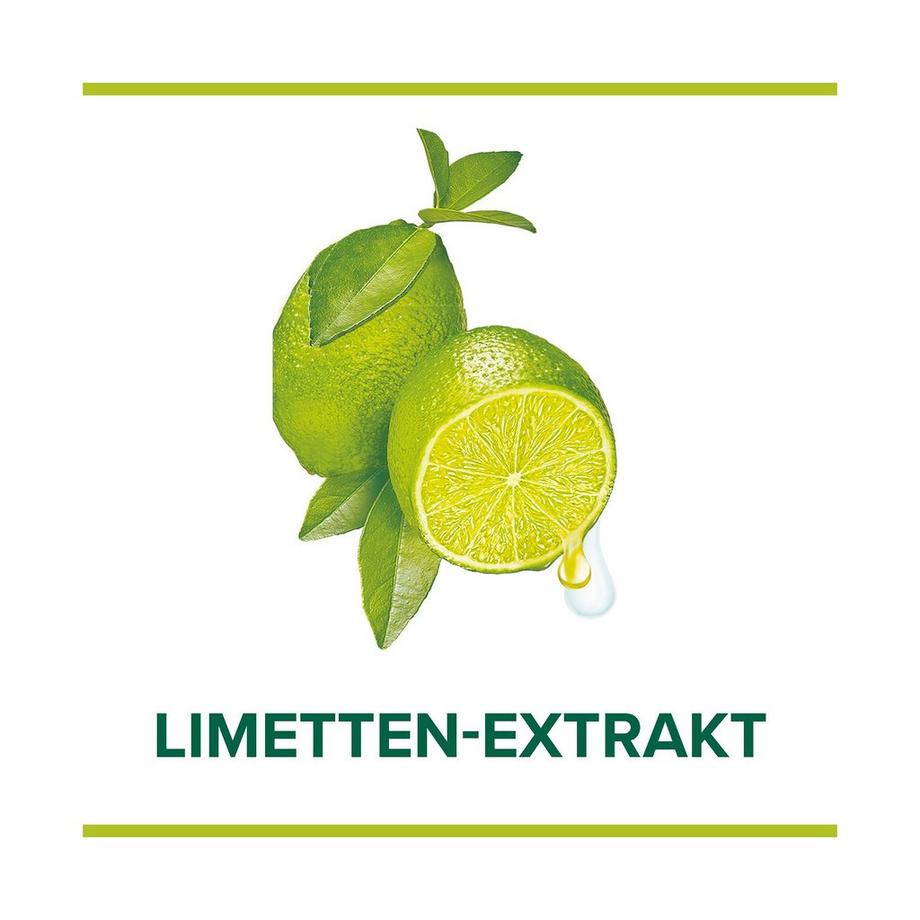 Palmolive Hygiene Plus Küche Antibakteriell Refill Hygiene-Plus Sapone Liquido Da Cucina, Antibatterico E Contro Gli Odori Sacchetto Di Ricarica 