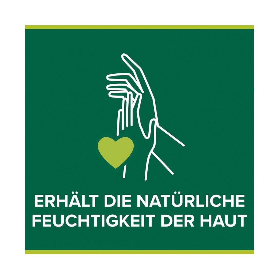 Palmolive Hygiene Plus Küche Antibakteriell Refill Hygiene-Plus Sapone Liquido Da Cucina, Antibatterico E Contro Gli Odori Sacchetto Di Ricarica 