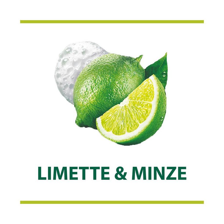 Palmolive Magic Softness Limette & Minze Magic Softness Limette & Minze Schaumseife, Mit Voluminösen Schaum Seifenspender 
