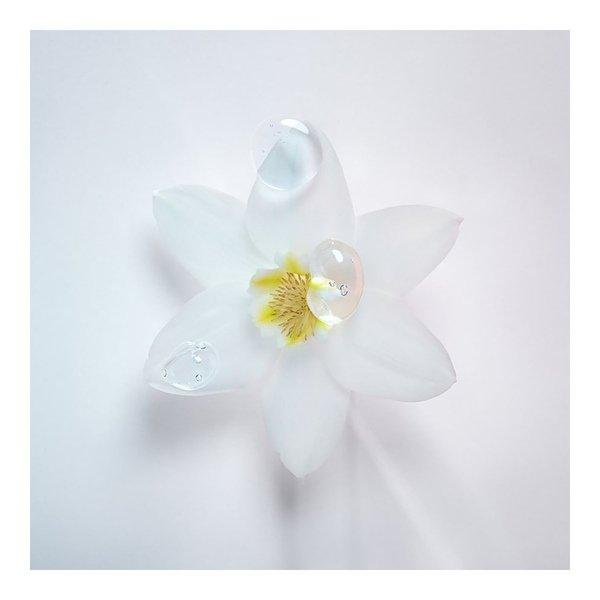 Kérastase SPECIFIQUE BAIN DIVALENT
 Blond Absolu Bain Ultra-Violet Anti-Brass Purple Shampoo 