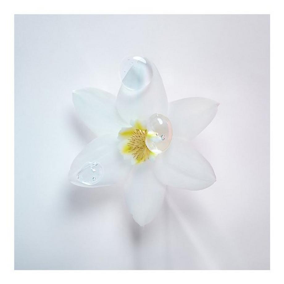 Kérastase SPECIFIQUE BAIN DIVALENT
 Blond Absolu Bain Ultra-Violet Anti-Brass Purple Shampoo 