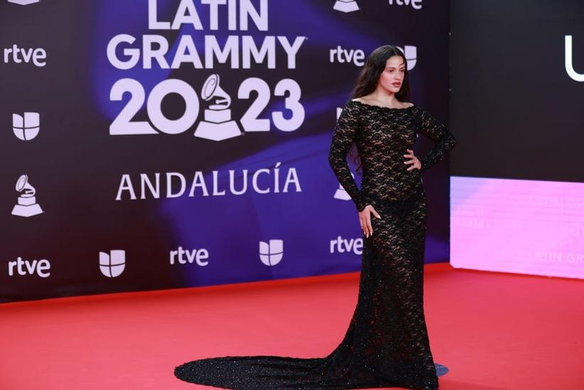 Shakira flaunts her physique in a racy corset dress as she joins glam  Rosalia, Anitta and Karol G on red carpet at the Latin Grammy Awards in  Spain