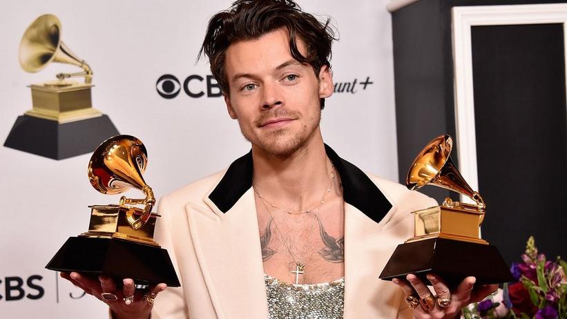 HS Pearl & Chain Choker (Harry Styles Grammys 2023 dupe)