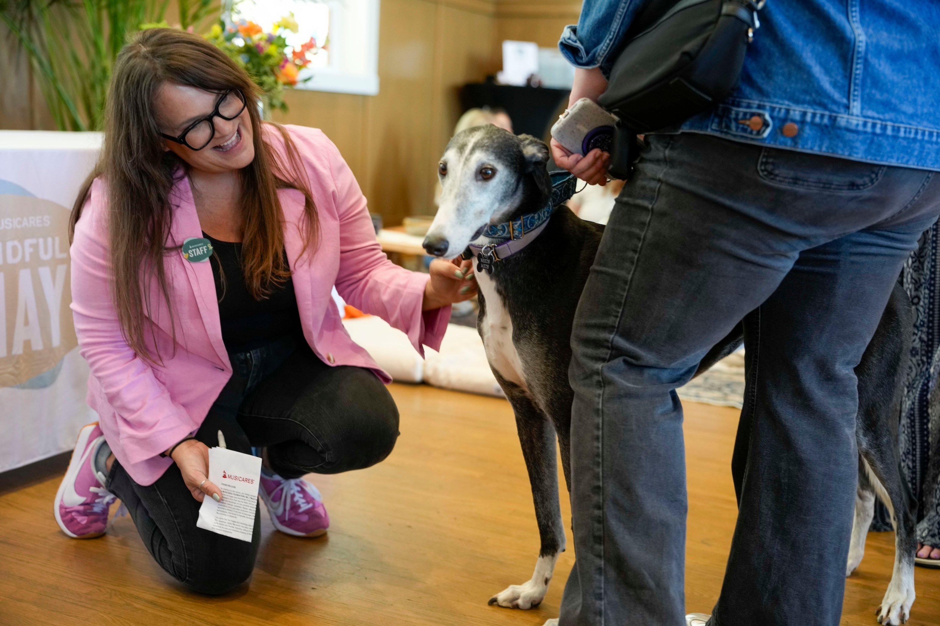 Mindful May Emotional Support Dogs Photo
