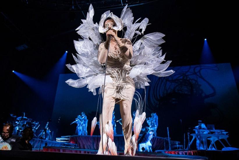 Be Like Björk: Iceland Unveils New 'Record In Iceland' Initiative ...