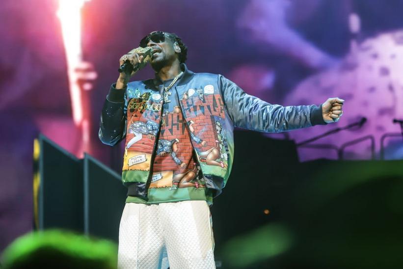 Snoop Dogg Calls Super Bowl Halftime Show 'Dream Come True' – NBC 6 South  Florida