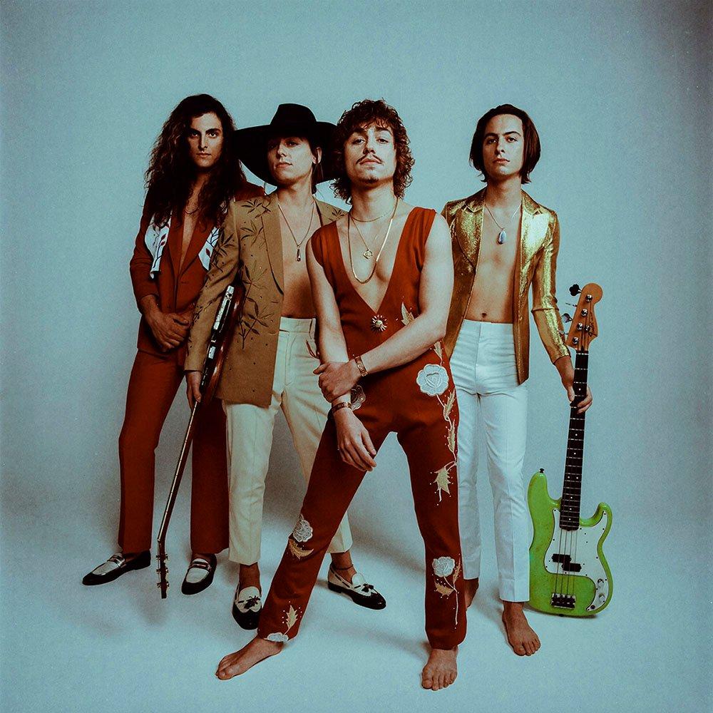 Greta Van Fleet Artist