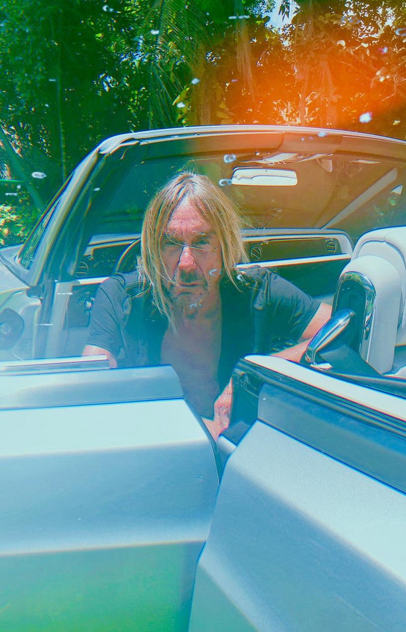 Iggy Pop Announces New Album, 'Free', Shares Title Track