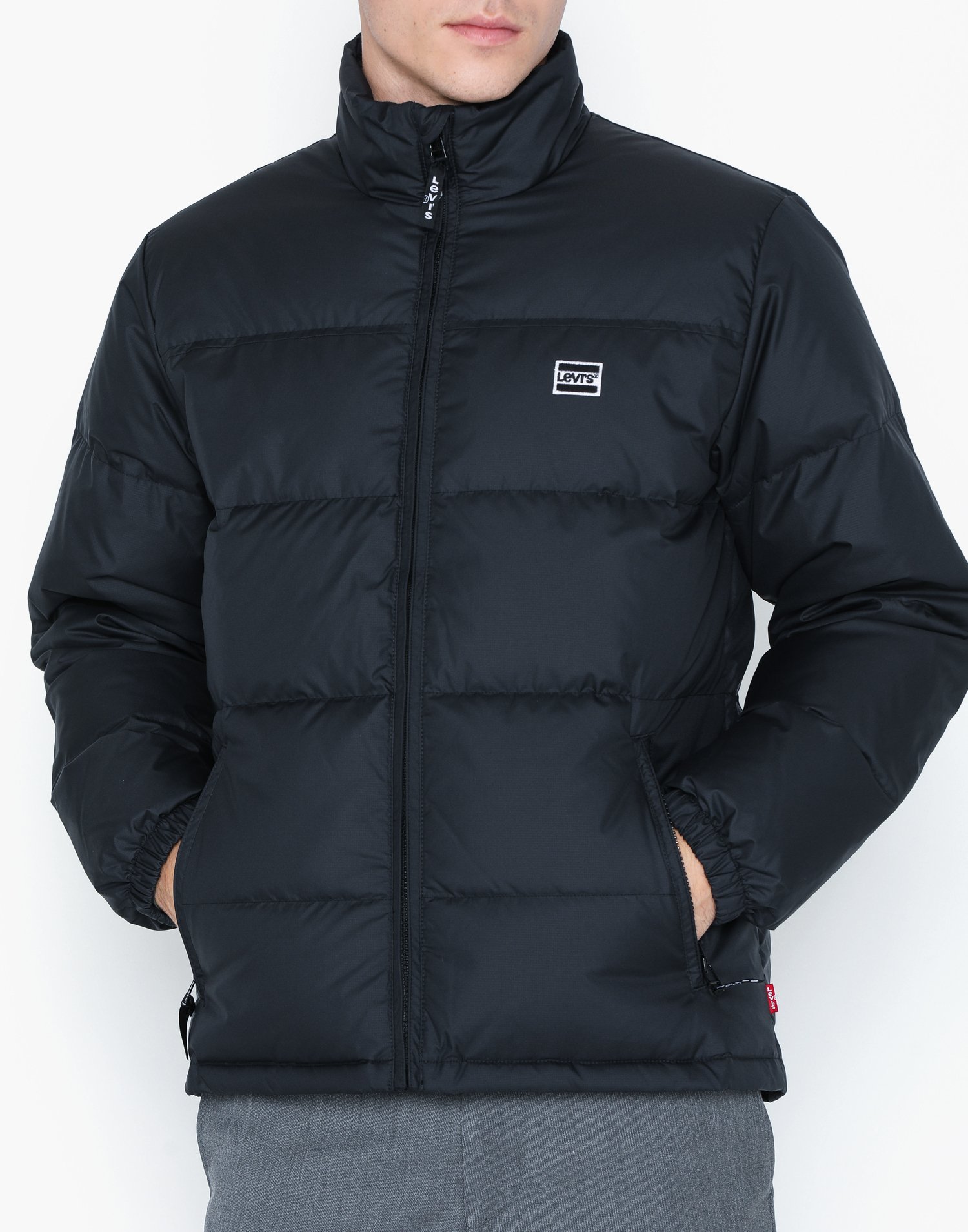 levis down puffer