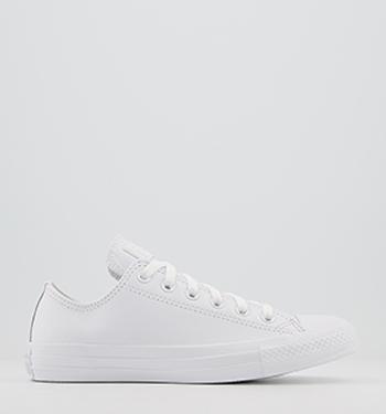 ladies trainers office