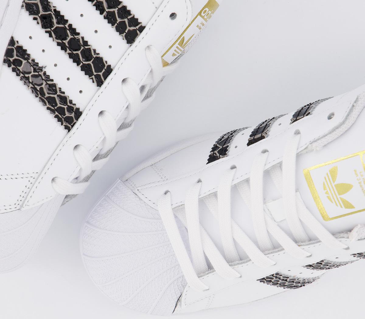 superstar trainers white black gold croc