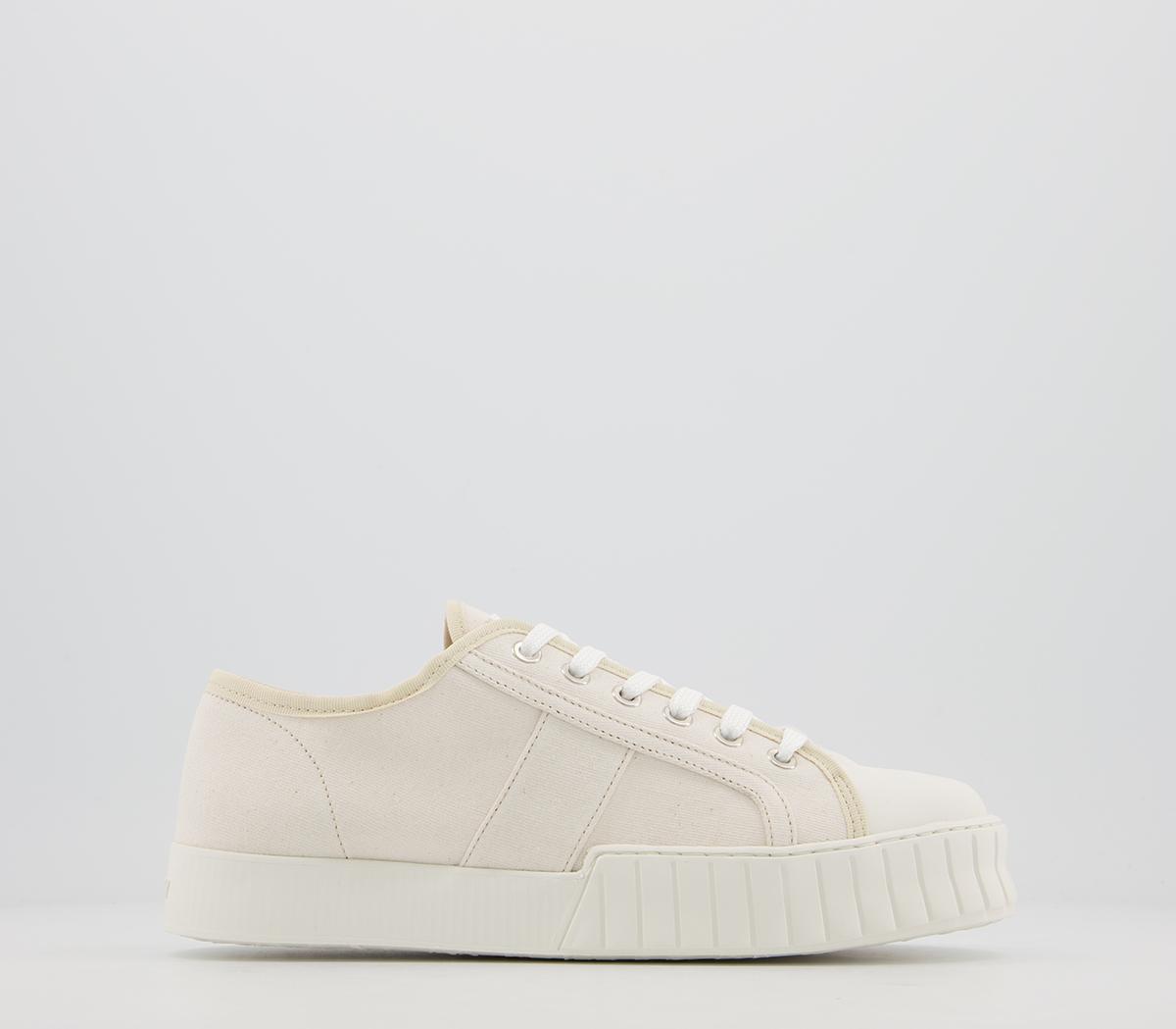 Divid Trainers Divid Trainers