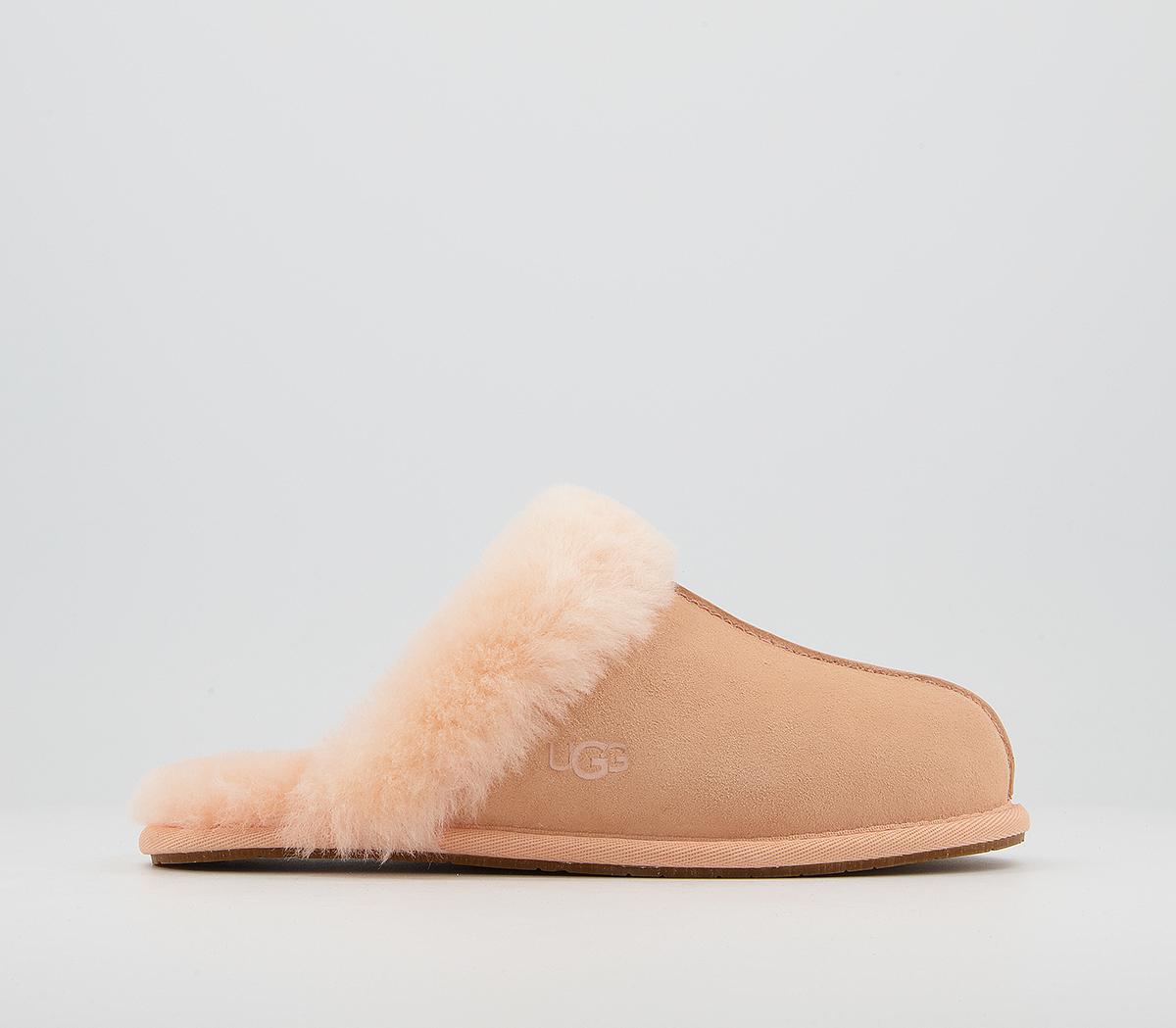ugg scuffette slippers office