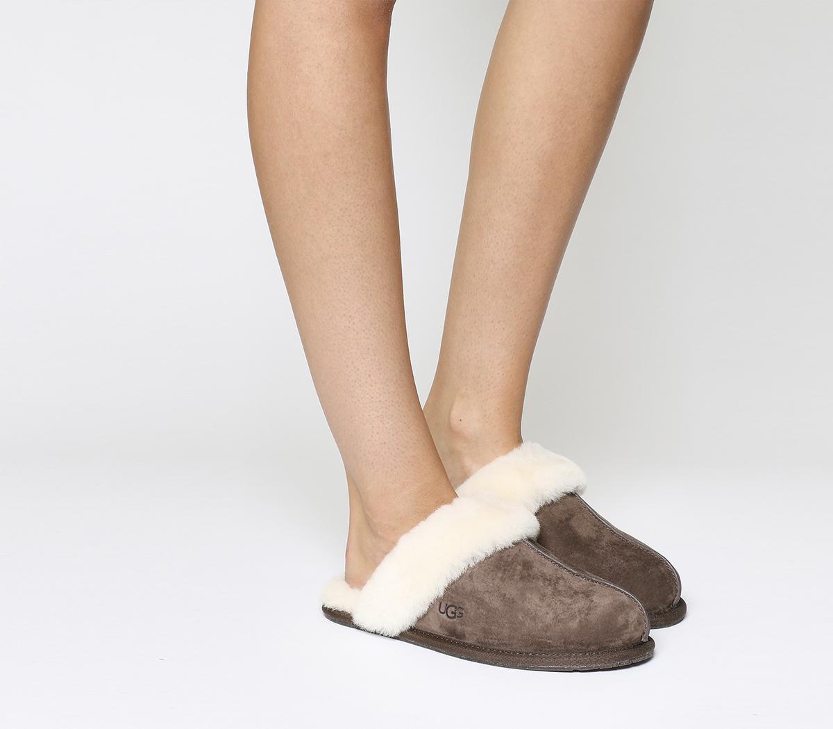 the ugg slippers