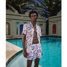 Shop Flights of Fantasy Print