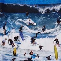 SURFERS LAGUNA BEACH