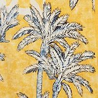 Toucan Palm