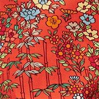 VERMILLION