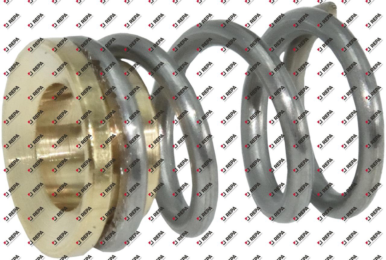 SPRING WITH BEARING BUSHING