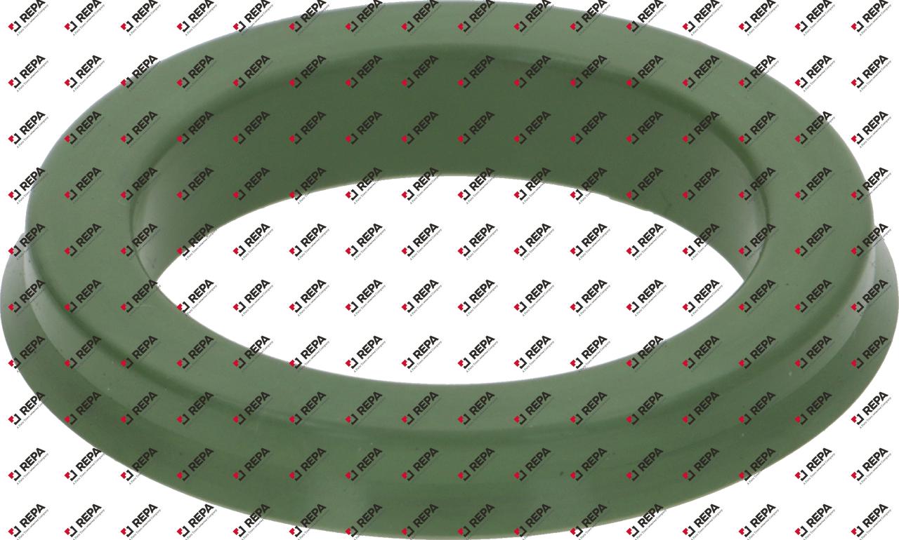 Gasket for overflow pipe green