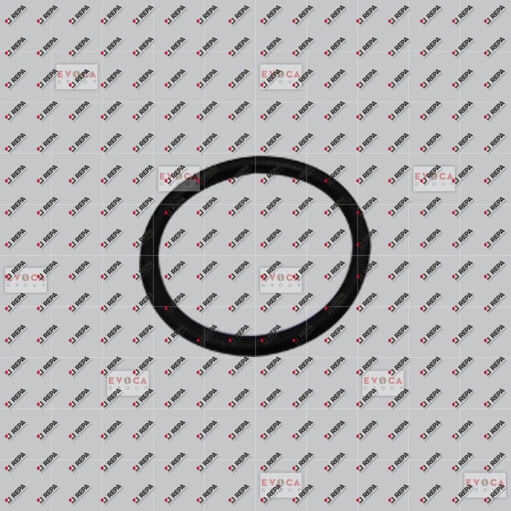 O RING - FOR 256210 - KAR/9100