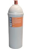 10509617 Filtro d'acqua PURITY C1100 Steam capacità 7907l
