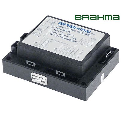 Gasfeuerungsautomat BRAHMA Typ CM12U Elektroden 2 1_106686