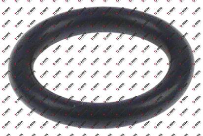 O.R. NBR spessore 2,62mm int. ø 13,1mm con. 1 pz
