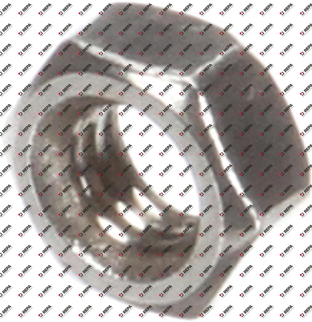NUT /GRILL