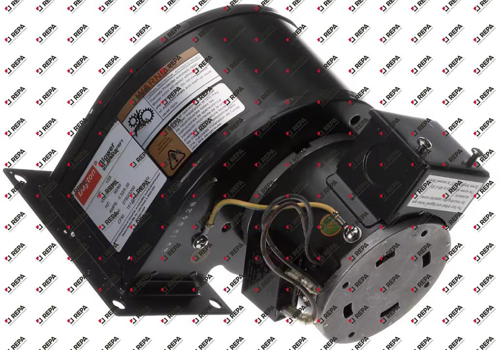 Blower motor