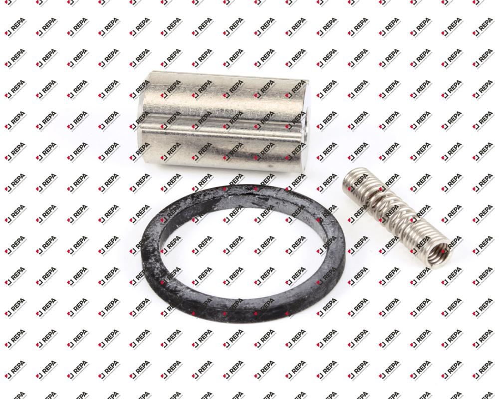 Repair Kit, Solenoid Valve, Skinner