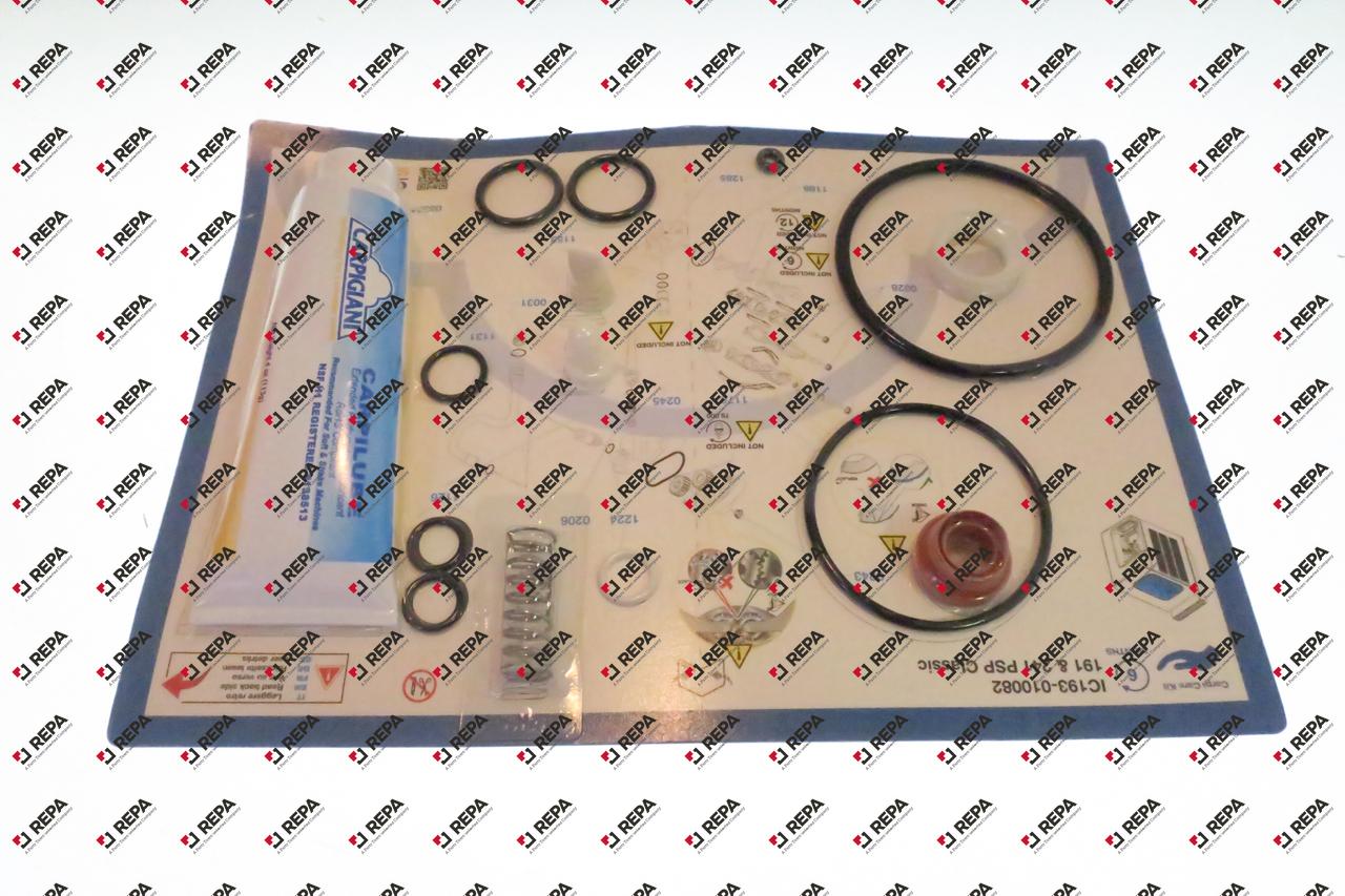 CARPICARE KIT 191 241P & P/SP 6/12 MESI