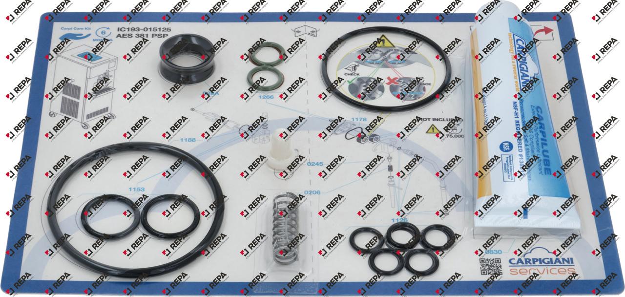 CARPICARE KIT AES 381 PSP