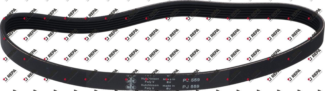 cinghia poly-V alette 6 lar. 14mm L 559mm