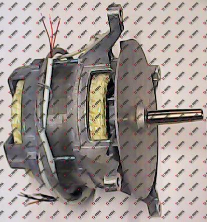Fan motor