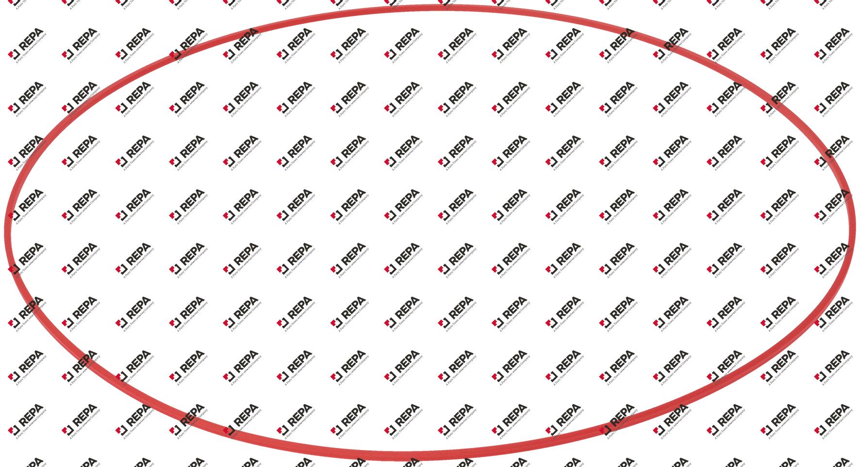 Radial shaft seal