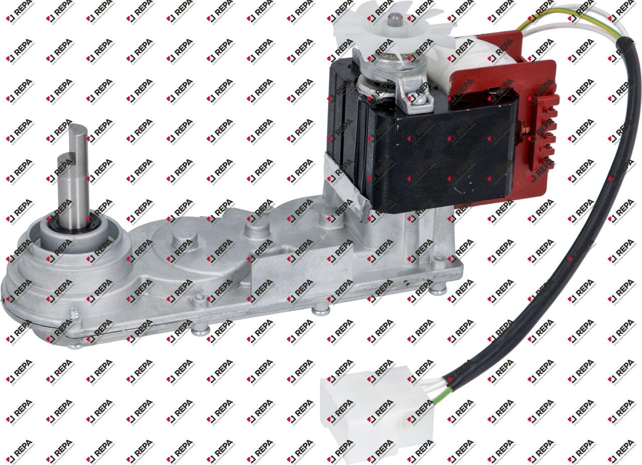 gear motor