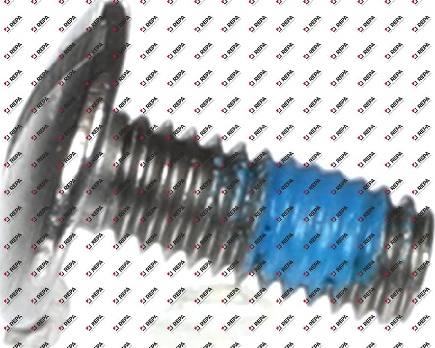 Vite testa bombata filetto M4 L 10mm inox