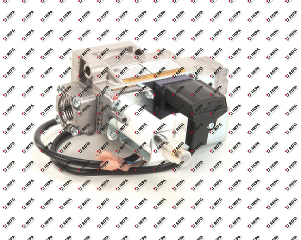 ASSEMBLY,VALVE GAS MOD HNYWL