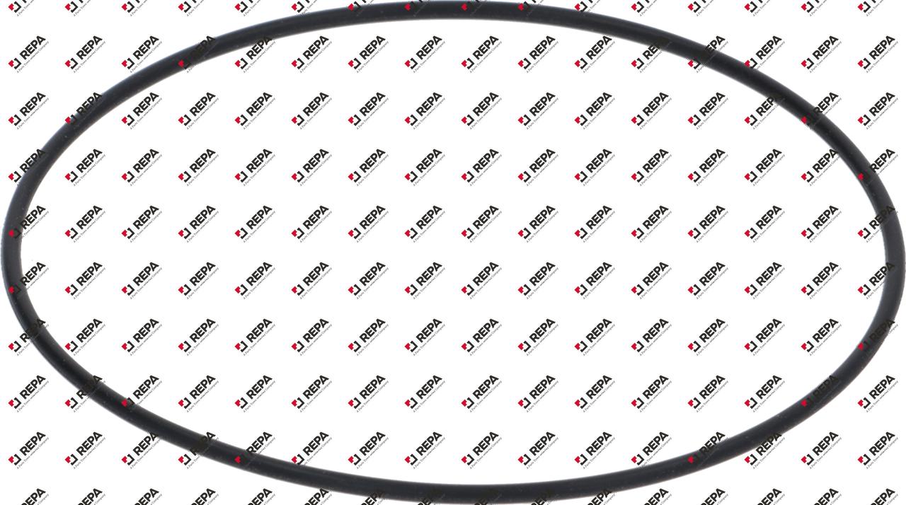 OR GASKET 02300 NBR