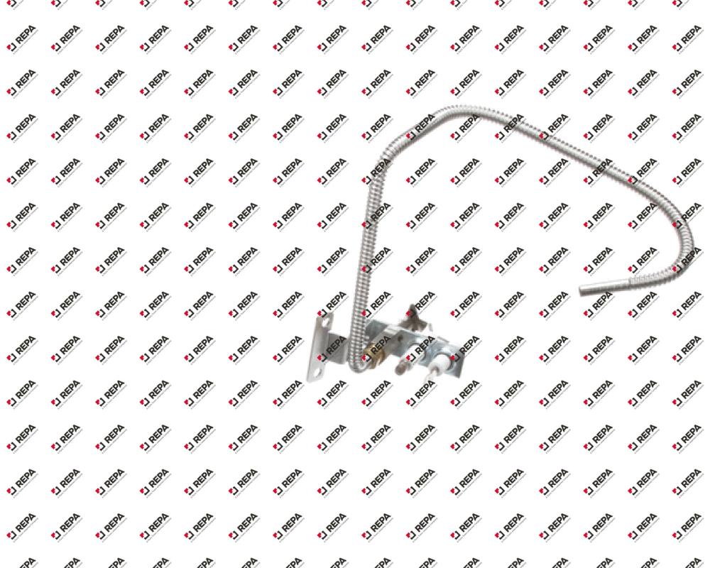 PG,ASSEMBLY PLT ELC IGN SNS NAT