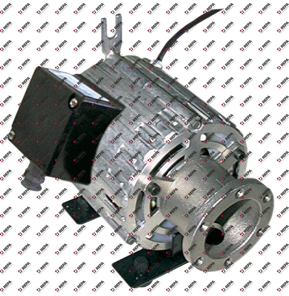 moteur pompe RPM type 11039007 150W 230V 50Hz