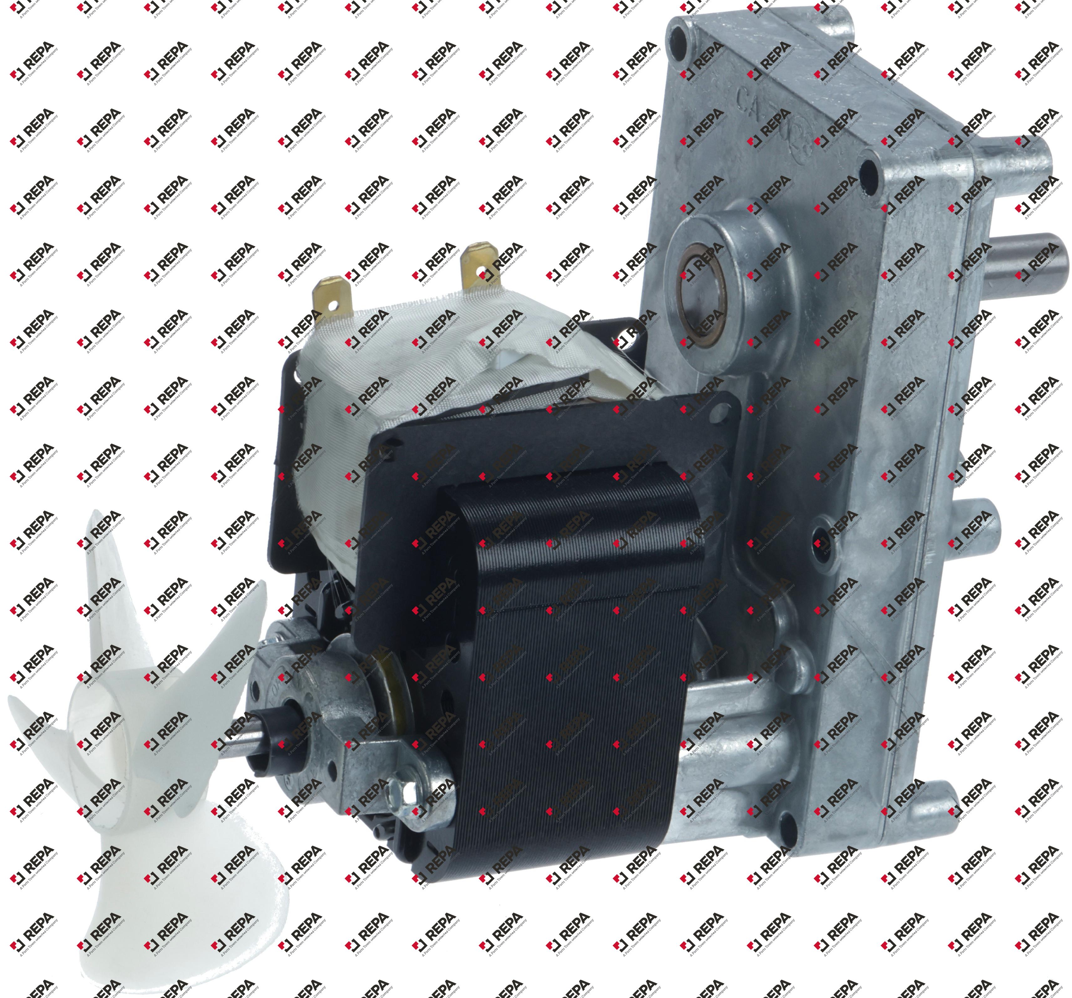 Motor