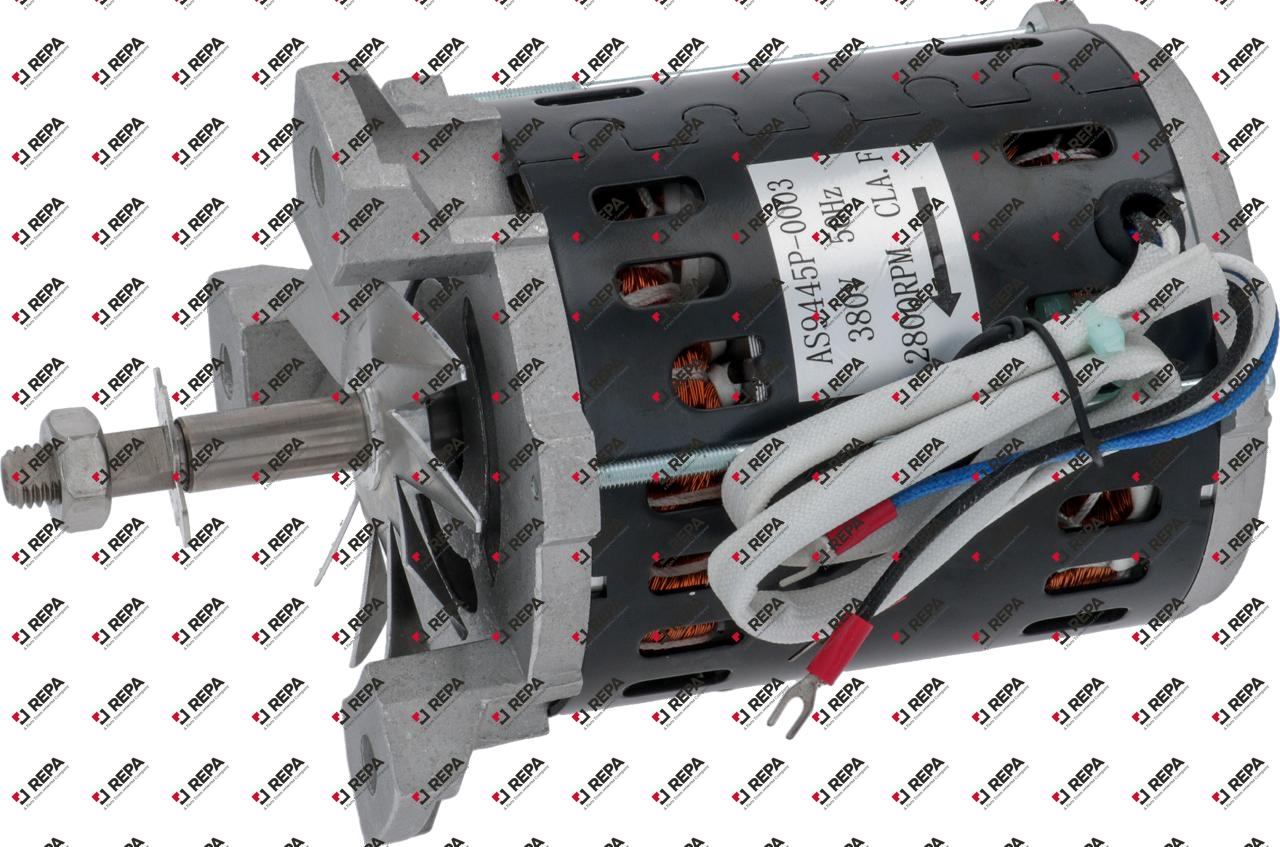 Motor