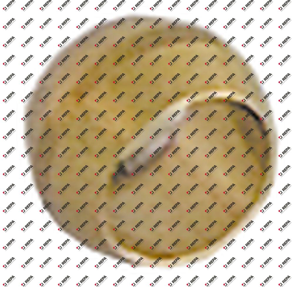 Olive for pipe ø 1/4" CCT Qty 1pcs